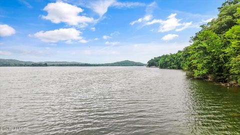 Tiny photo for 243 E Shore Drive, Rockwood, TN 37854 (MLS # 1344165)