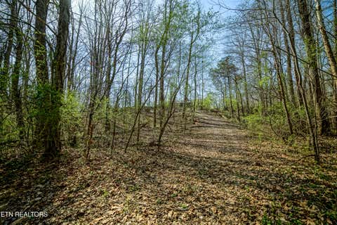 Tiny photo for 243 Black Oak Rd, Clinton, TN 37716 (MLS # 1332537)