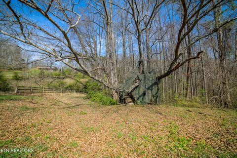 Tiny photo for 243 Black Oak Rd, Clinton, TN 37716 (MLS # 1332537)