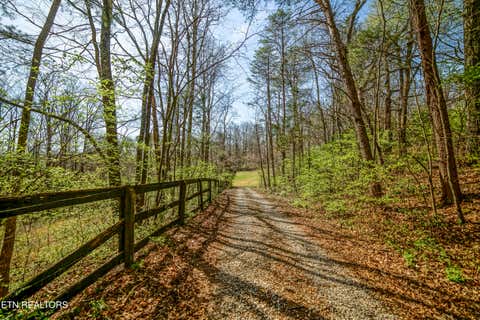 Tiny photo for 243 Black Oak Rd, Clinton, TN 37716 (MLS # 1332537)