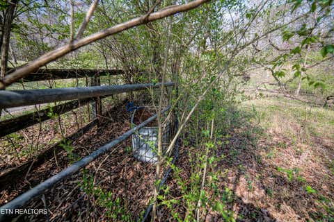 Tiny photo for 243 Black Oak Rd, Clinton, TN 37716 (MLS # 1332537)