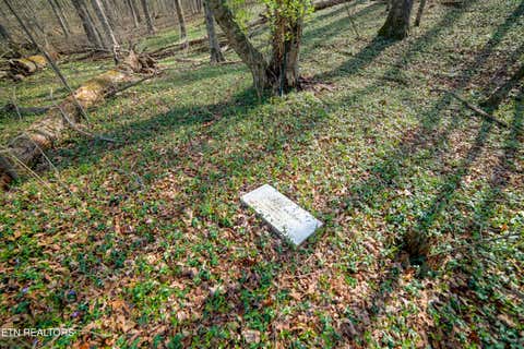Tiny photo for 243 Black Oak Rd, Clinton, TN 37716 (MLS # 1332537)
