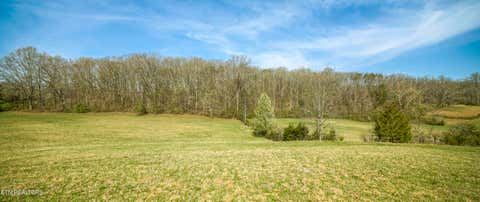 Tiny photo for 243 Black Oak Rd, Clinton, TN 37716 (MLS # 1332537)