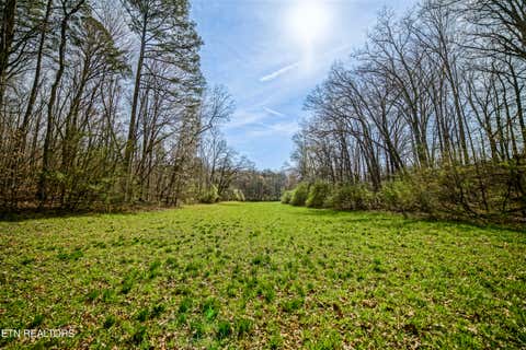 Tiny photo for 243 Black Oak Rd, Clinton, TN 37716 (MLS # 1332537)