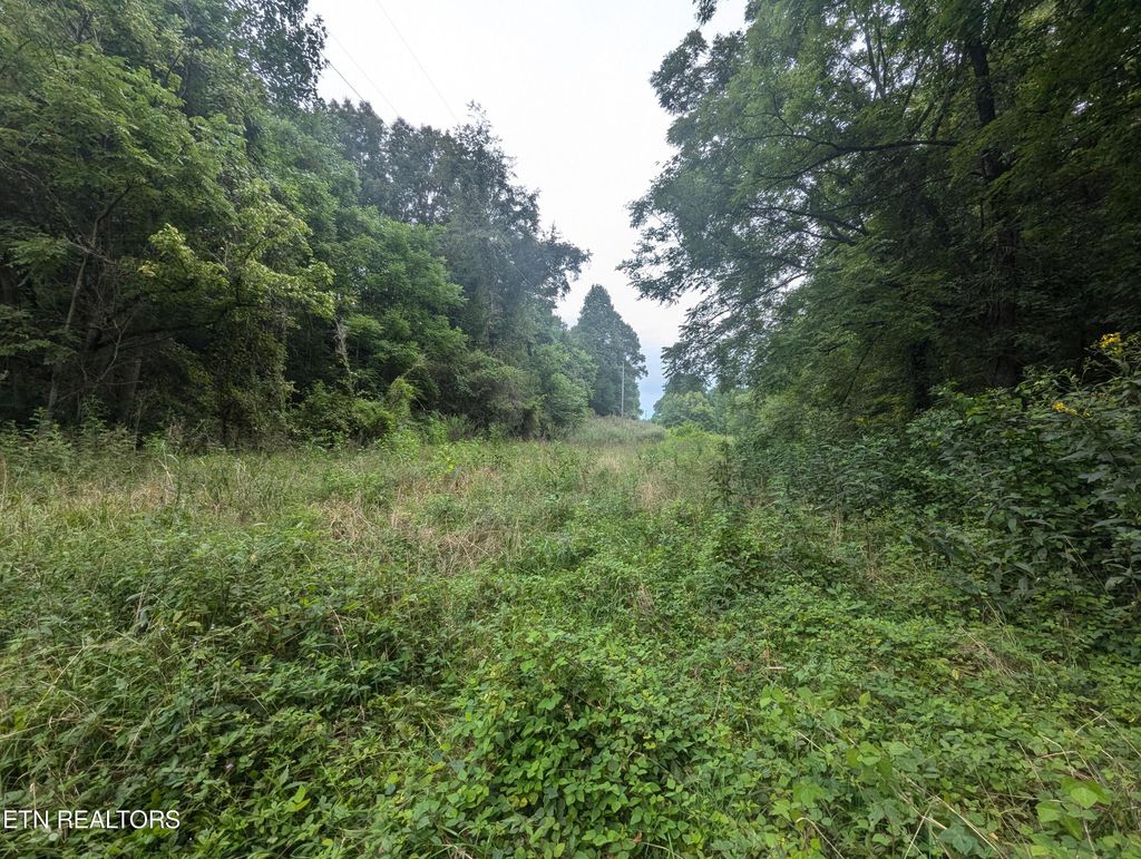 Photo of Little Valley Rd, Tazewell, TN 37879 (MLS # 1273303)