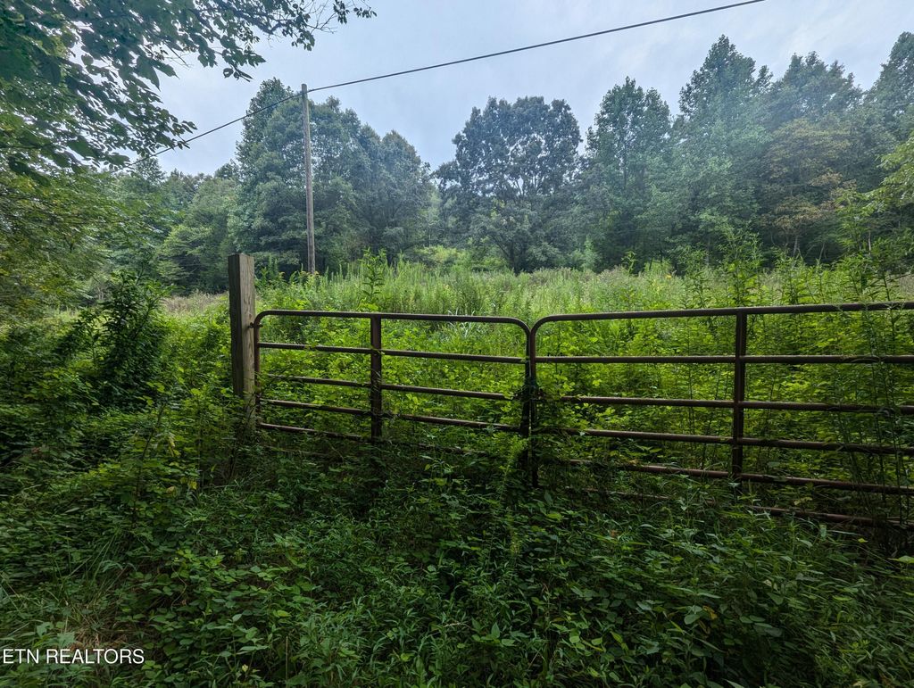 Photo of Little Valley Rd, Tazewell, TN 37879 (MLS # 1273303)