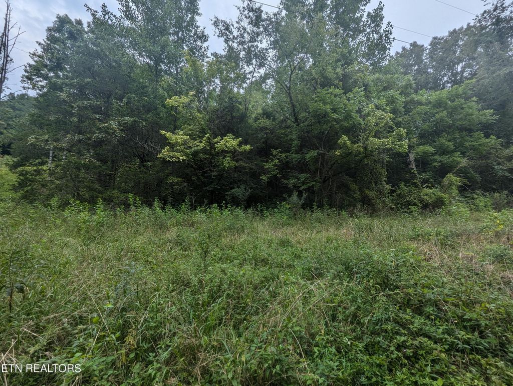Photo of Little Valley Rd, Tazewell, TN 37879 (MLS # 1273303)