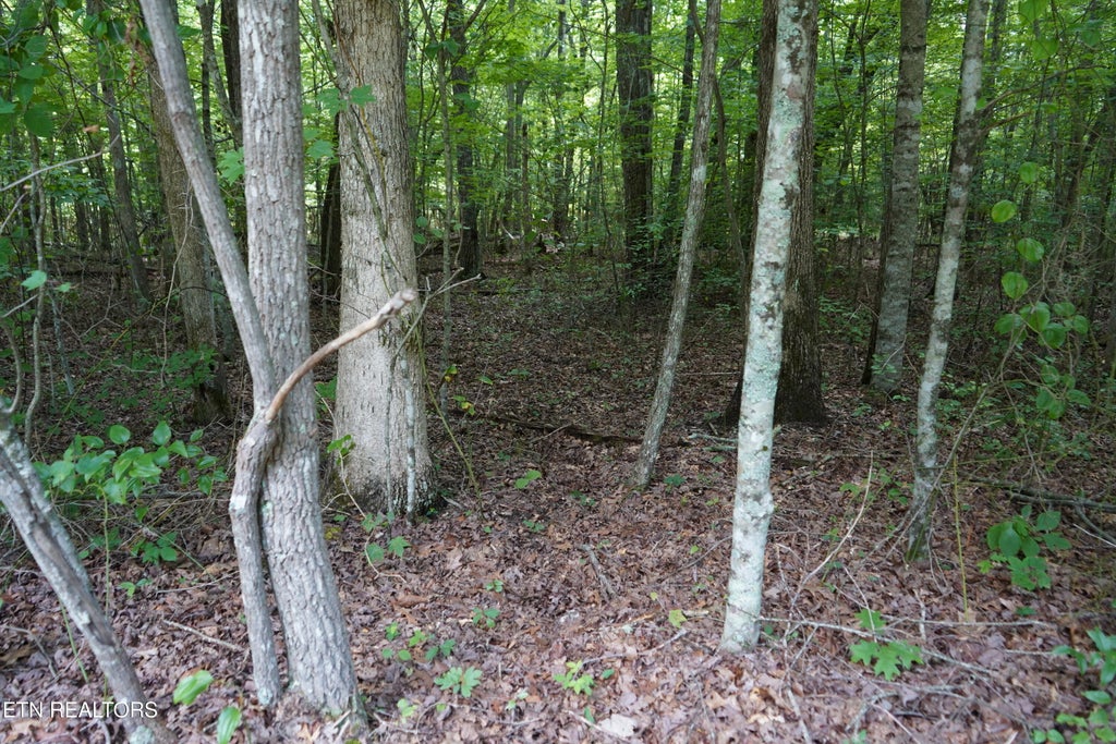 Photo of W Laurel Way, Monterey, TN 38574 (MLS # 1348456)