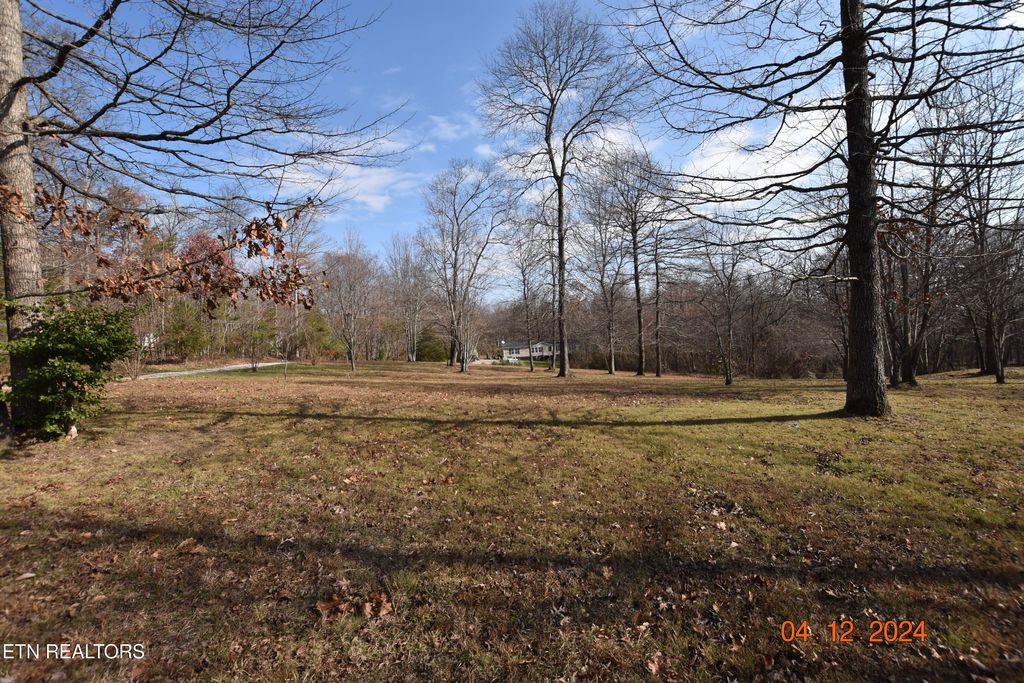 Photo of 472 Catoosa Ridge Rd, Rockwood, TN 37854 (MLS # 1284499)