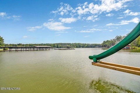 Tiny photo for 769 Scenic Lakeview Drive, Spring City, TN 37381 (MLS # 1346549)