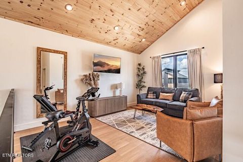 Tiny photo for 1317 Reedmont Way, Sevierville, TN 37876 (MLS # 1329499)