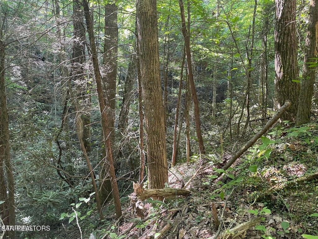 Photo of 76 Sycamore St, Sevierville, TN 37876 (MLS # 1285906)