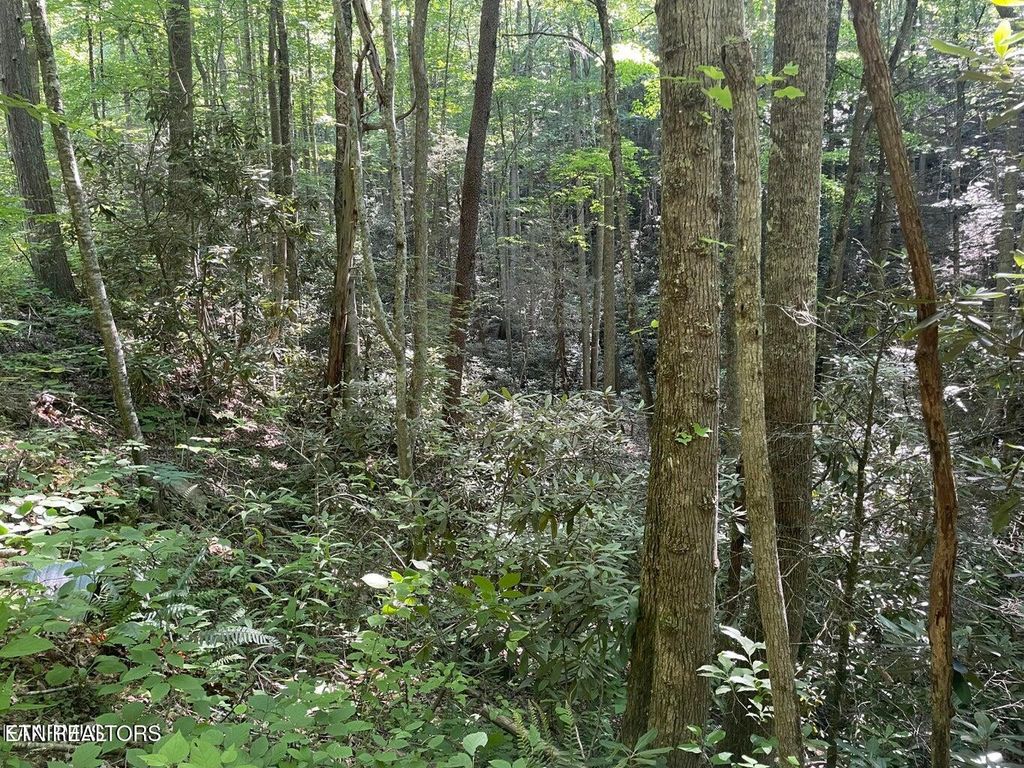 Photo of 76 Sycamore St, Sevierville, TN 37876 (MLS # 1285906)