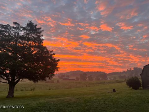 Tiny photo for 1623 Straight Branch Rd, Speedwell, TN 37870 (MLS # 1323776)