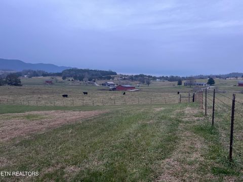 Tiny photo for 1623 Straight Branch Rd, Speedwell, TN 37870 (MLS # 1323776)