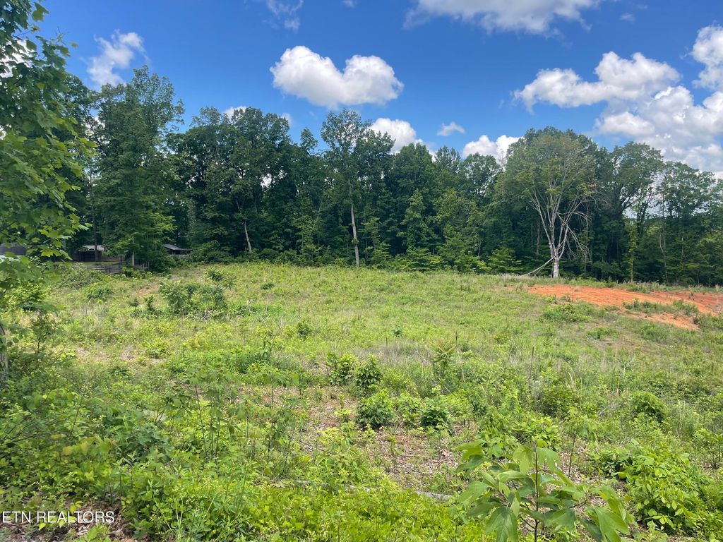 Photo of 9 Laura Boling Loop Rd, Strawberry Plains, TN 37871 (MLS # 1300687)