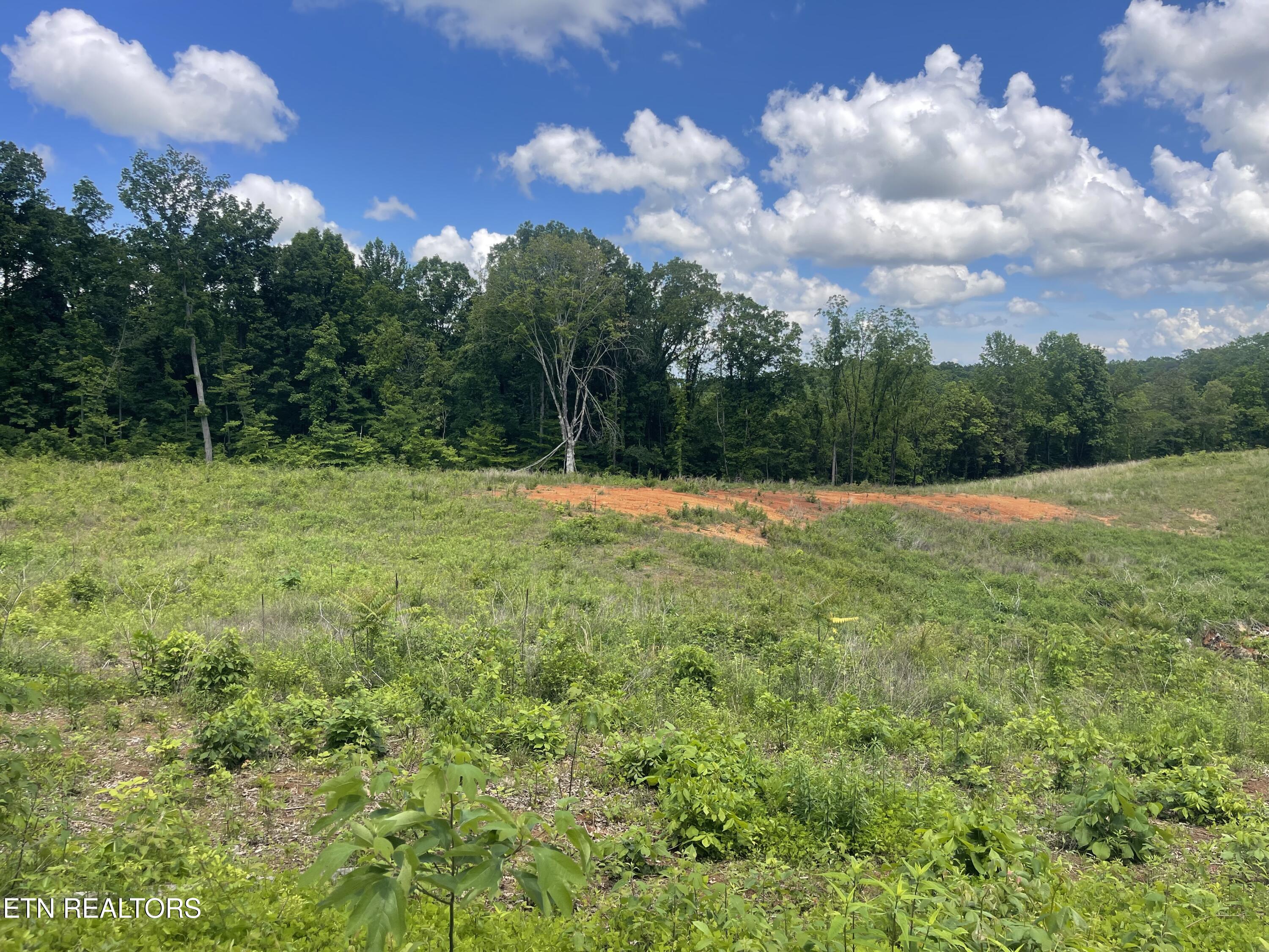 Lot 9 Laura Boling Loop Rd