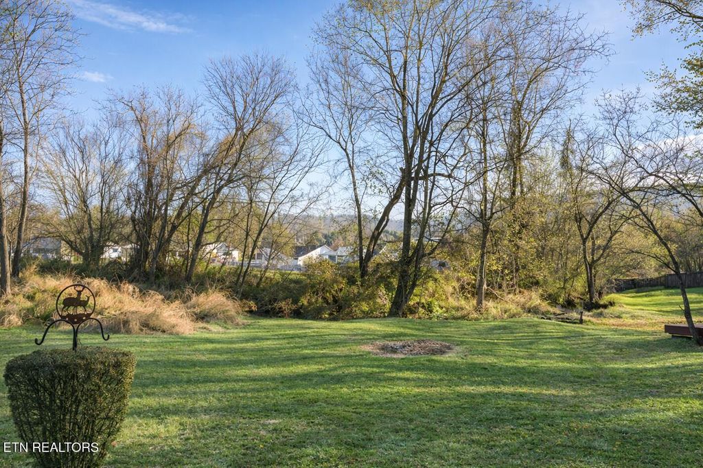 Photo of 416 W Wheeler St, Rockwood, TN 37854 (MLS # 1324783)