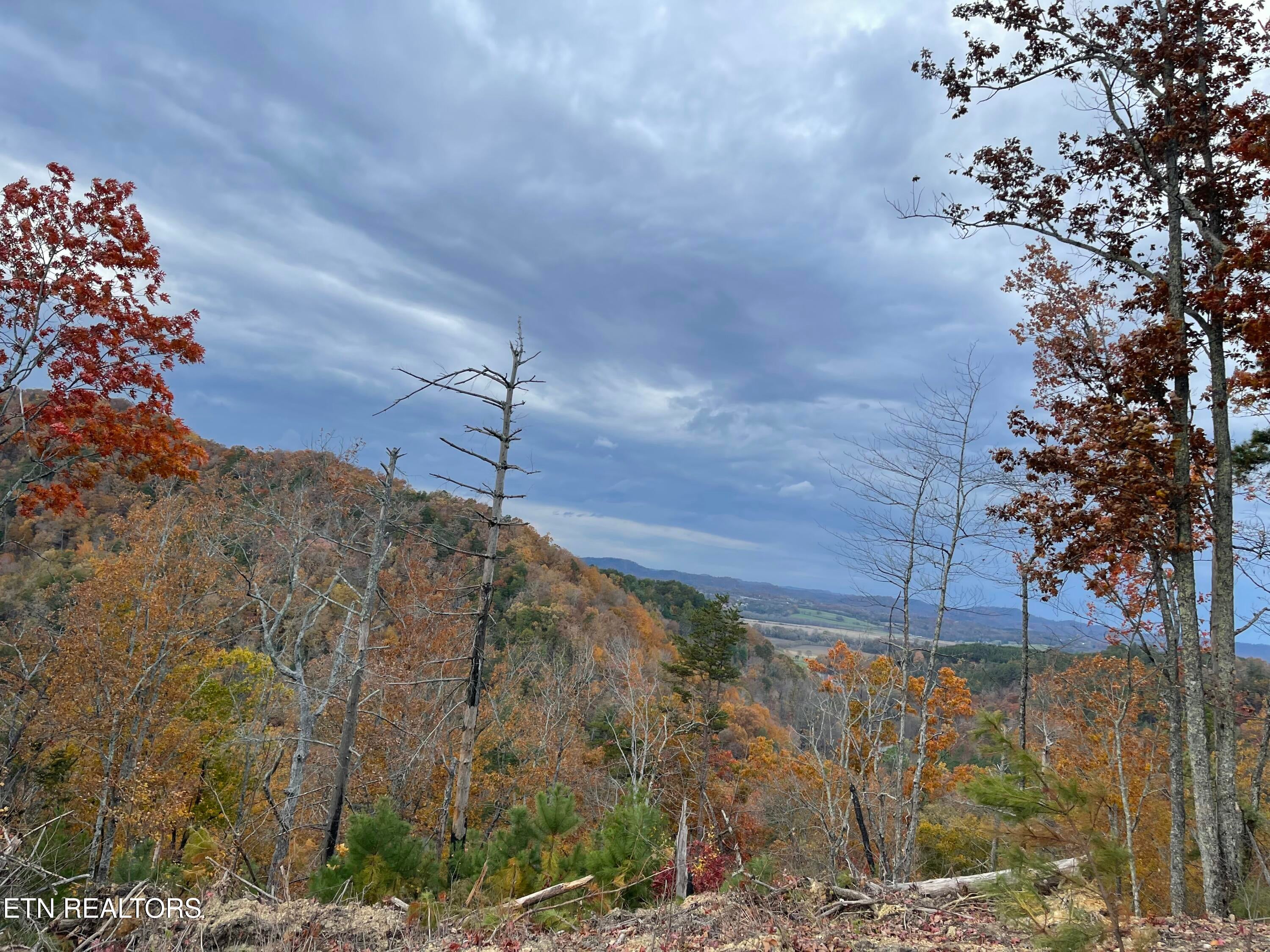 157 Quarry Creek Rd Lot 5
