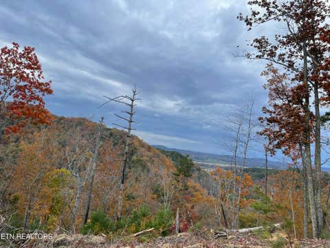 Tiny photo for 157 Quarry Creek Rd #Lot 5, Tellico Plains, TN 37385 (MLS # 1349723)