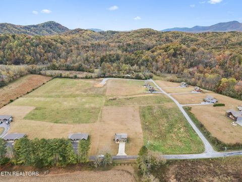 Tiny photo for 3871 Holders Grove Rd, Cosby, TN 37722 (MLS # 1325357)