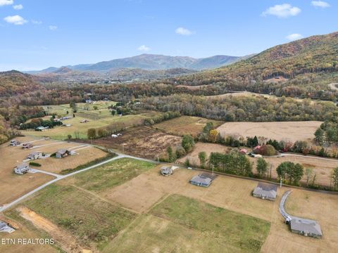 Tiny photo for 3871 Holders Grove Rd, Cosby, TN 37722 (MLS # 1325357)