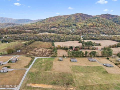 Tiny photo for 3871 Holders Grove Rd, Cosby, TN 37722 (MLS # 1325357)