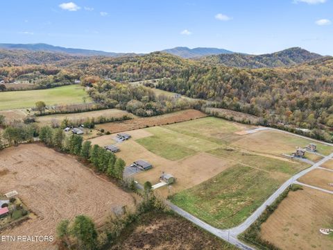 Tiny photo for 3871 Holders Grove Rd, Cosby, TN 37722 (MLS # 1325357)