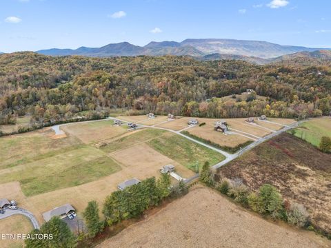 Tiny photo for 3871 Holders Grove Rd, Cosby, TN 37722 (MLS # 1325357)