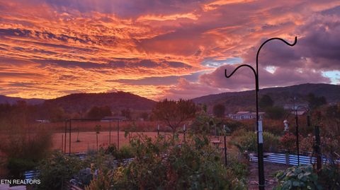 Tiny photo for 3143 Webbing Way, Cosby, TN 37722 (MLS # 1319683)