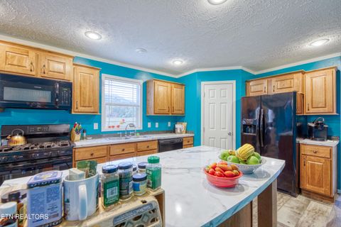 Tiny photo for 3143 Webbing Way, Cosby, TN 37722 (MLS # 1319683)