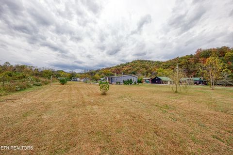 Tiny photo for 3143 Webbing Way, Cosby, TN 37722 (MLS # 1319683)