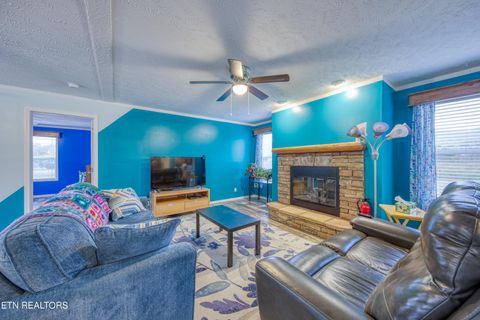 Tiny photo for 3143 Webbing Way, Cosby, TN 37722 (MLS # 1319683)