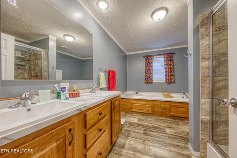 Tiny photo for 3143 Webbing Way, Cosby, TN 37722 (MLS # 1319683)