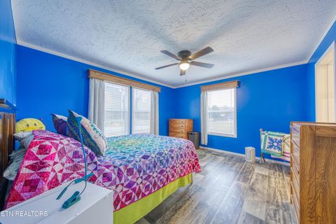 Tiny photo for 3143 Webbing Way, Cosby, TN 37722 (MLS # 1319683)