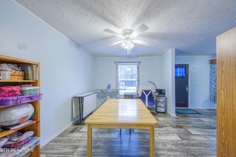 Tiny photo for 3143 Webbing Way, Cosby, TN 37722 (MLS # 1319683)