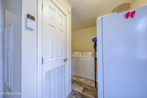 Tiny photo for 3143 Webbing Way, Cosby, TN 37722 (MLS # 1319683)