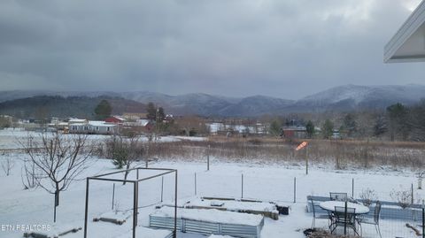 Tiny photo for 3143 Webbing Way, Cosby, TN 37722 (MLS # 1319683)