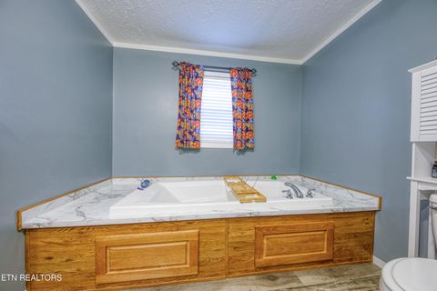 Tiny photo for 3143 Webbing Way, Cosby, TN 37722 (MLS # 1319683)