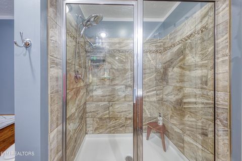 Tiny photo for 3143 Webbing Way, Cosby, TN 37722 (MLS # 1319683)