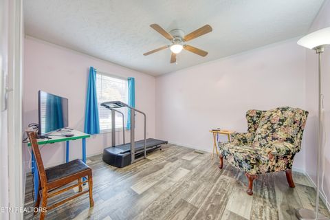 Tiny photo for 3143 Webbing Way, Cosby, TN 37722 (MLS # 1319683)