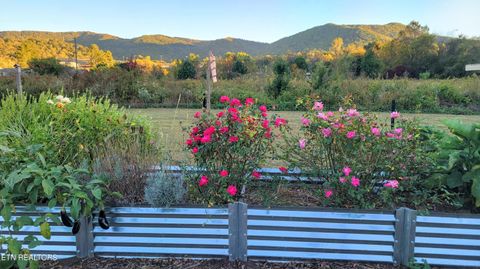 Tiny photo for 3143 Webbing Way, Cosby, TN 37722 (MLS # 1319683)