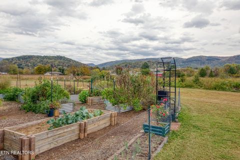 Tiny photo for 3143 Webbing Way, Cosby, TN 37722 (MLS # 1319683)