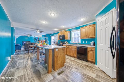 Tiny photo for 3143 Webbing Way, Cosby, TN 37722 (MLS # 1319683)