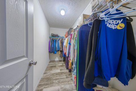 Tiny photo for 3143 Webbing Way, Cosby, TN 37722 (MLS # 1319683)