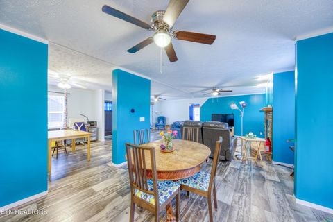 Tiny photo for 3143 Webbing Way, Cosby, TN 37722 (MLS # 1319683)