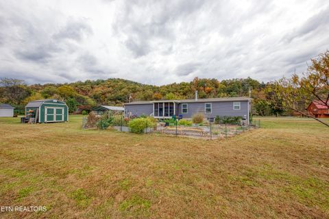 Tiny photo for 3143 Webbing Way, Cosby, TN 37722 (MLS # 1319683)