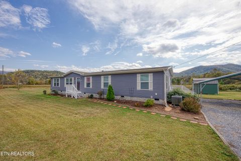 Tiny photo for 3143 Webbing Way, Cosby, TN 37722 (MLS # 1319683)
