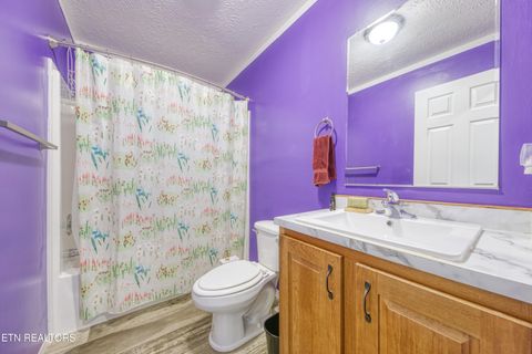 Tiny photo for 3143 Webbing Way, Cosby, TN 37722 (MLS # 1319683)