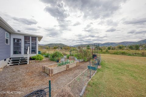 Tiny photo for 3143 Webbing Way, Cosby, TN 37722 (MLS # 1319683)